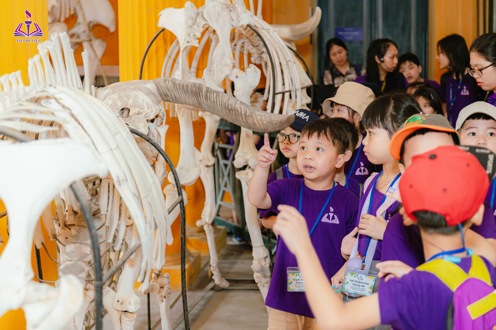 Các hoạt động tham quan và trải nghiệm khác tại Bảo Tàng Sinh Học - Đại Học Quốc Gia Hà Nội